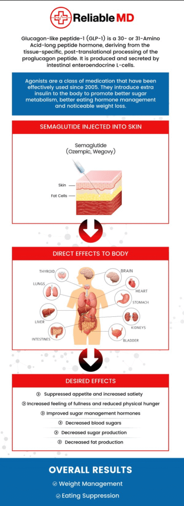 infographic explaining GLP-1 effects